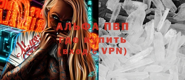 PSILOCYBIN Михайлов