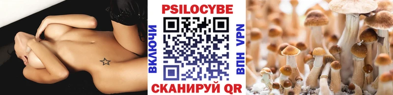 kraken как зайти  дарнет шоп  Владимир  Галлюциногенные грибы мицелий 